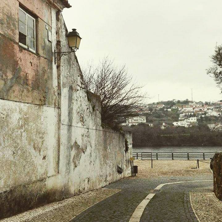 16831079_808927095927271_9001166305060382105_n.jpg 16831079_808927095927271_9001166305060382105_n.jpg