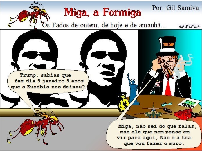 Miga433.JPG