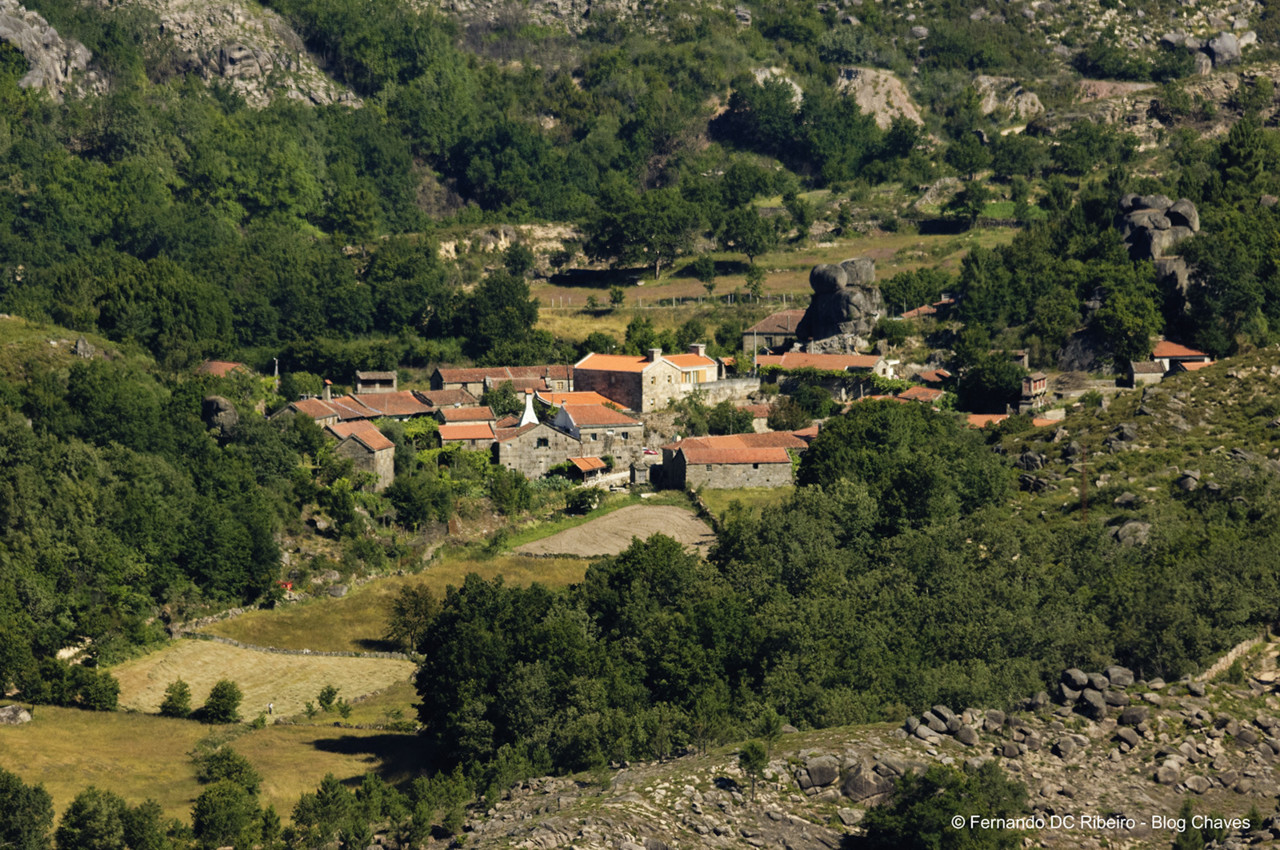 1600-sirvozelo (57).jpg