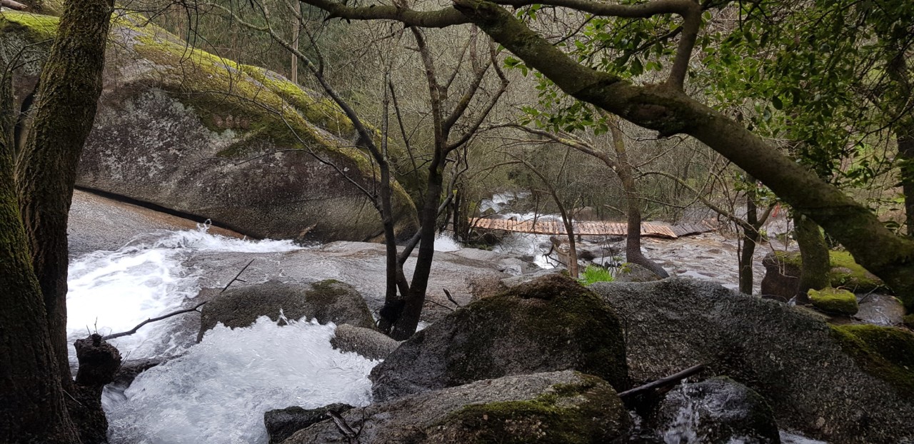 20200216_120742.jpg 20200216_120742.jpg