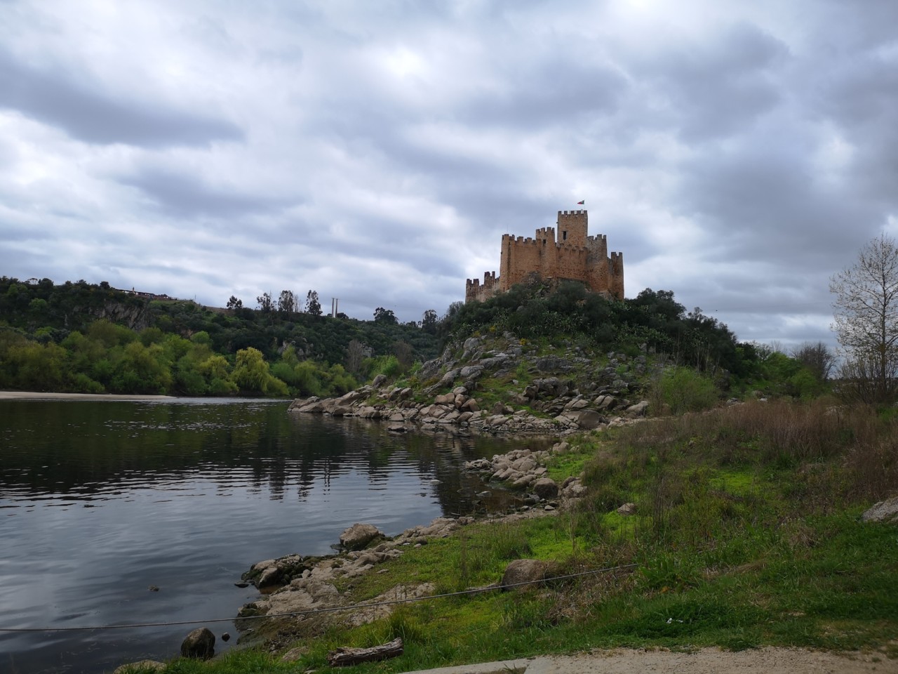 IMG_20190317_130619.jpg IMG_20190317_130619.jpg