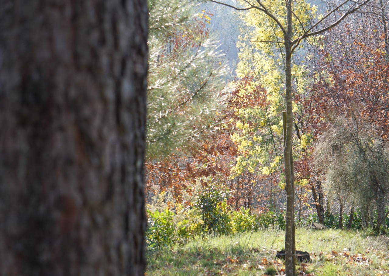 DSC02890.JPG DSC02890.JPG