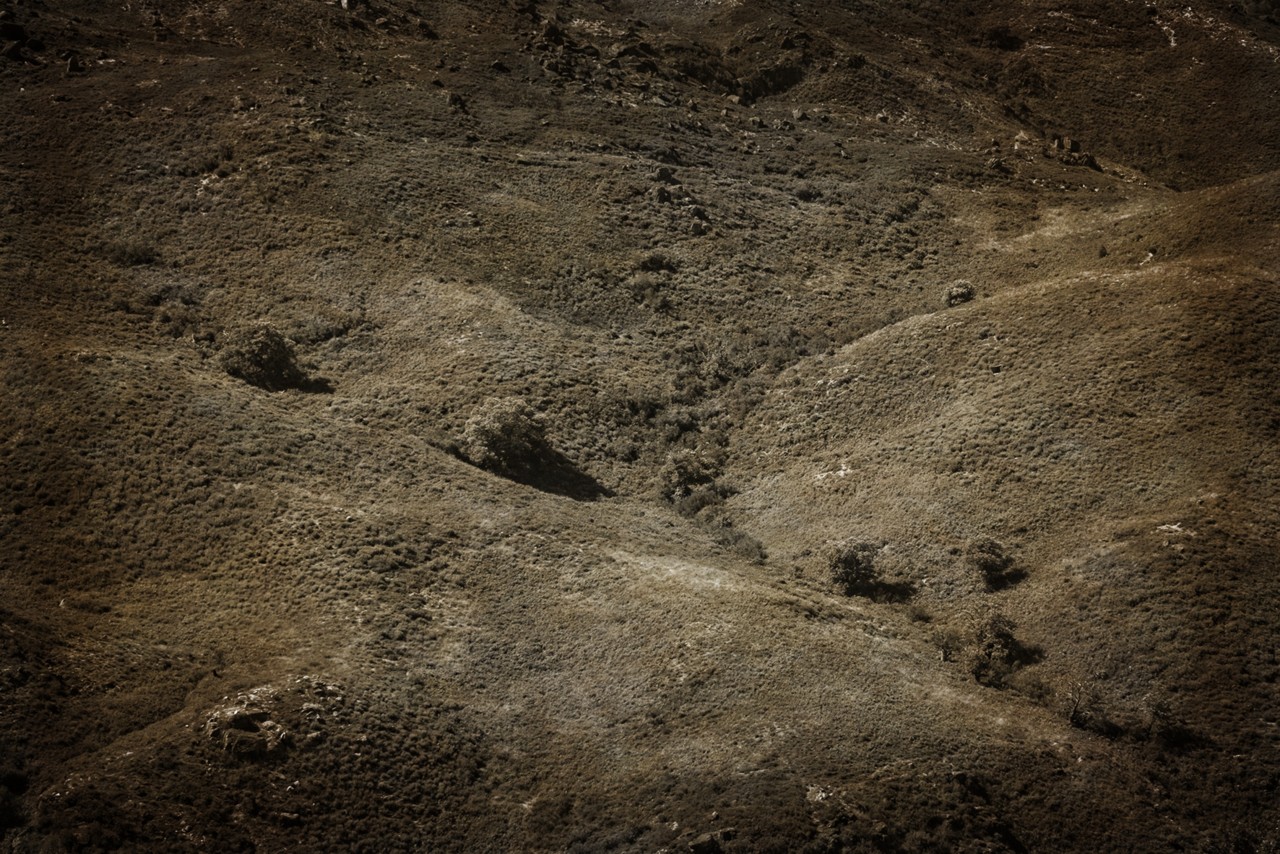 _JMF6413 - cópia copy.jpg