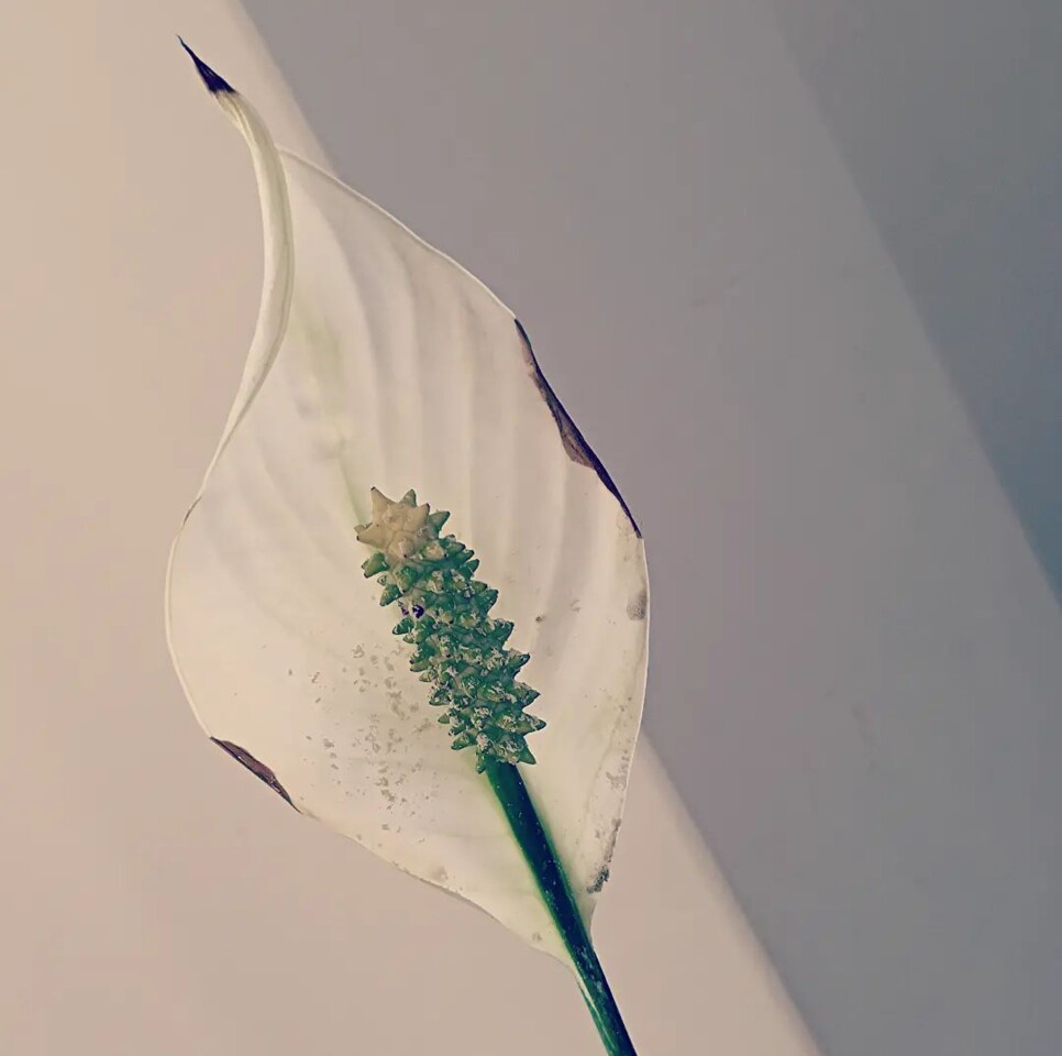 Screenshot_2024-07-02-07-34-36-358-edit_com.instag