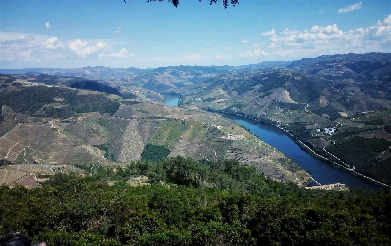 32769747_1682236878528623_476269889821081600_n.jpg 32769747_1682236878528623_476269889821081600_n.jpg