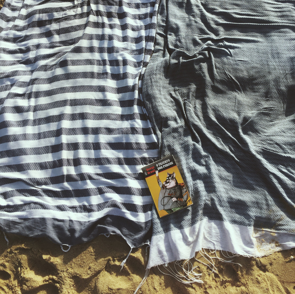 9D57EF2D-524F-40EB-AB6A-35190C9A8161.jpg 9D57EF2D-524F-40EB-AB6A-35190C9A8161.jpg