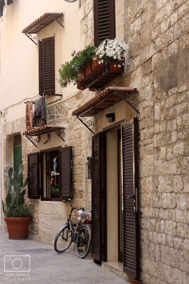 IMG_5746_net.jpg IMG_5746_net.jpg