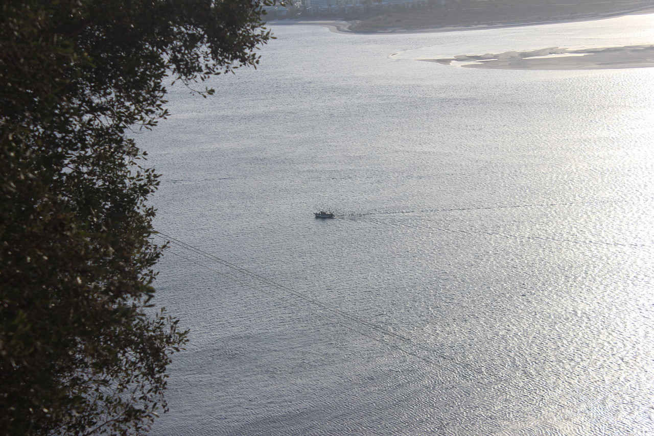 IMG_1568.JPG IMG_1568.JPG