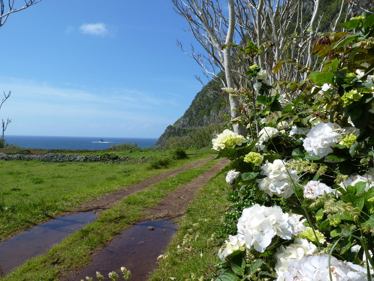 Ponta da Fajã 1.JPG