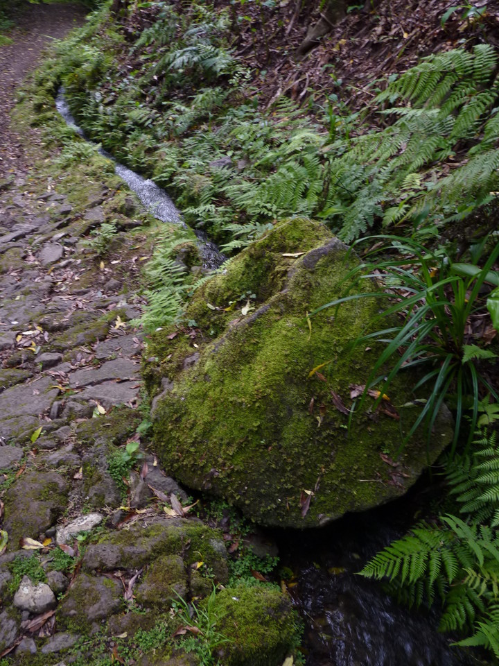 Percurso até ao Poço da Ribeira do Ferreiro - Il