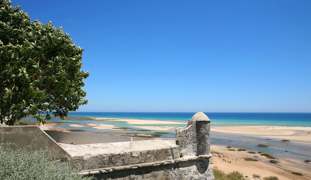 12377866_497953570377041_4768874302436742668_o.jpg 12377866_497953570377041_4768874302436742668_o.jpg