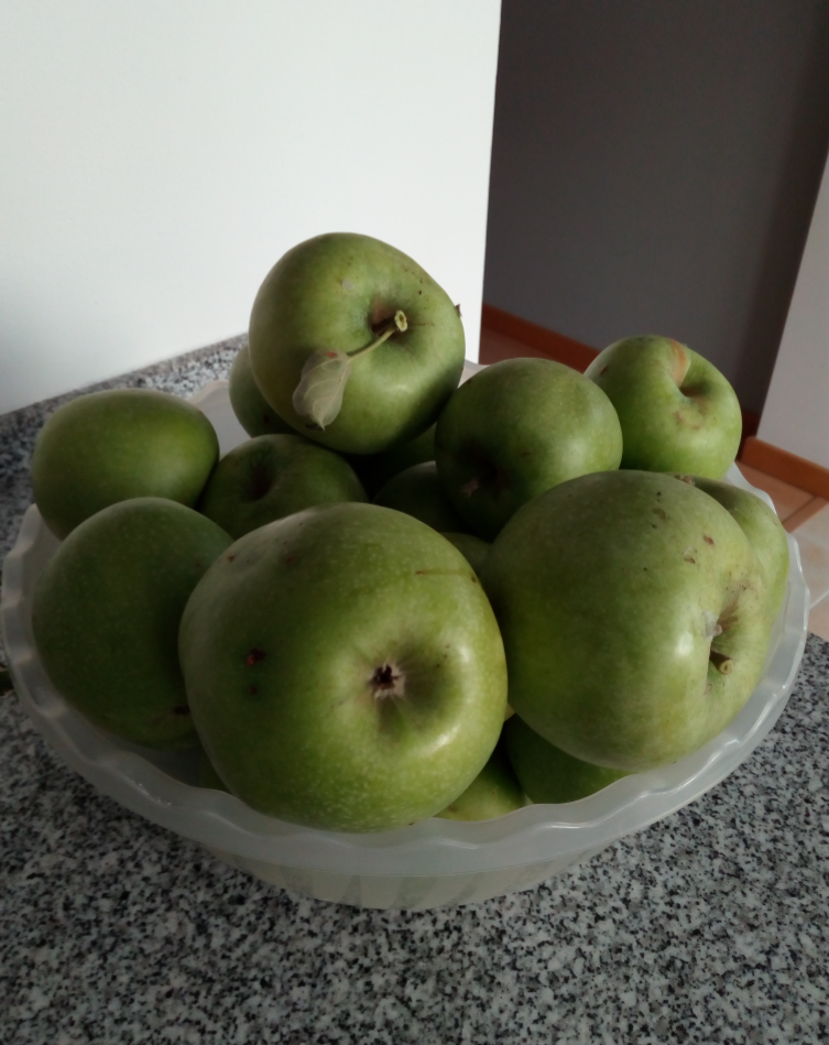 PE_20170907_070706.png PE_20170907_070706.png