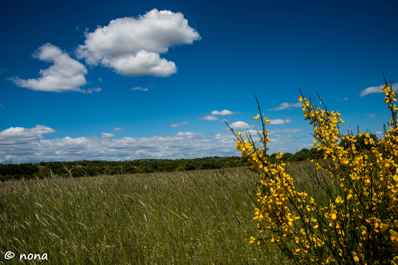 13.- Vagueando pela Montanha.jpg