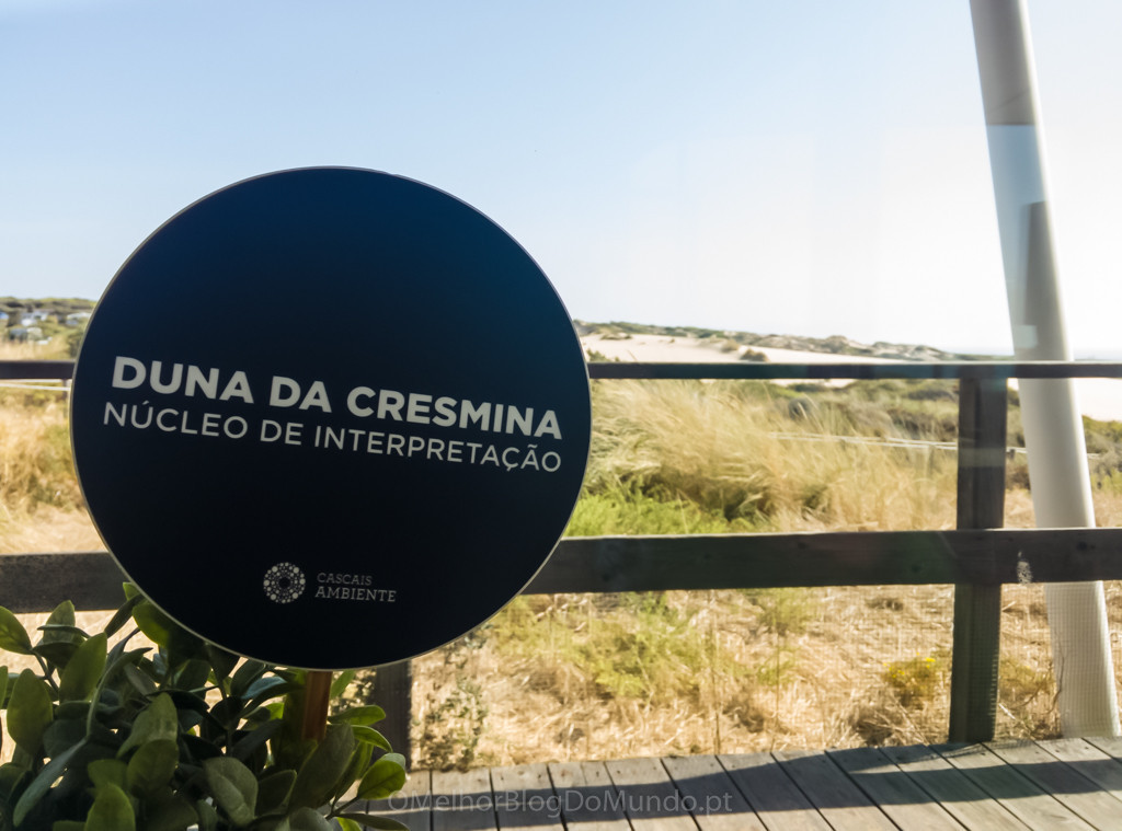 IMG_20170815_170209.jpg IMG_20170815_170209.jpg