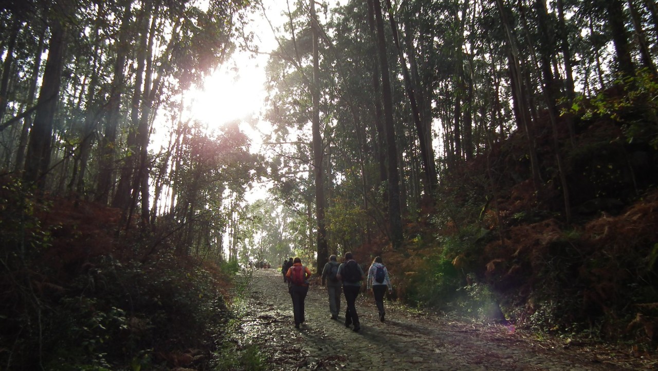 47575951_2518545024854262_5197984208638705664_o.jp