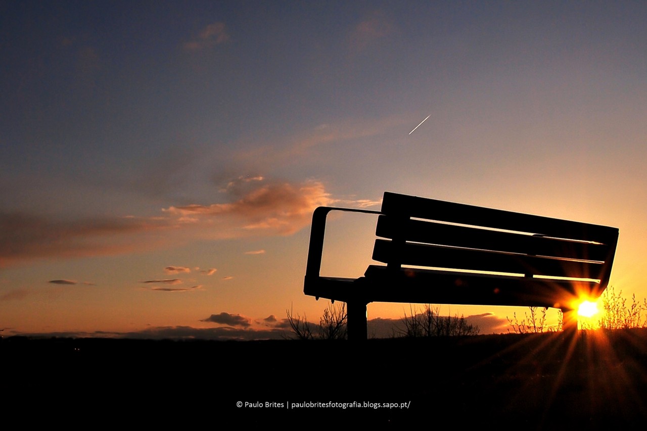 DSC_10332-2.jpg DSC_10332-2.jpg