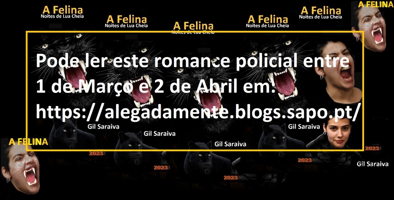 A Felina - Livro.jpg