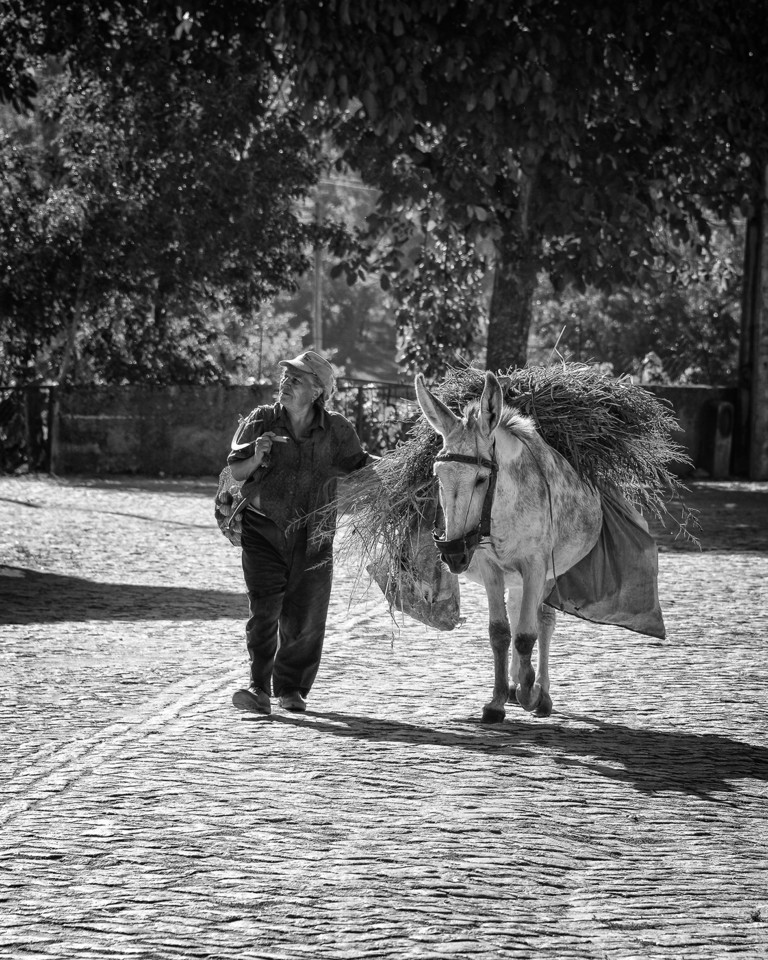 _JMF0777 copy  - cópia.jpg