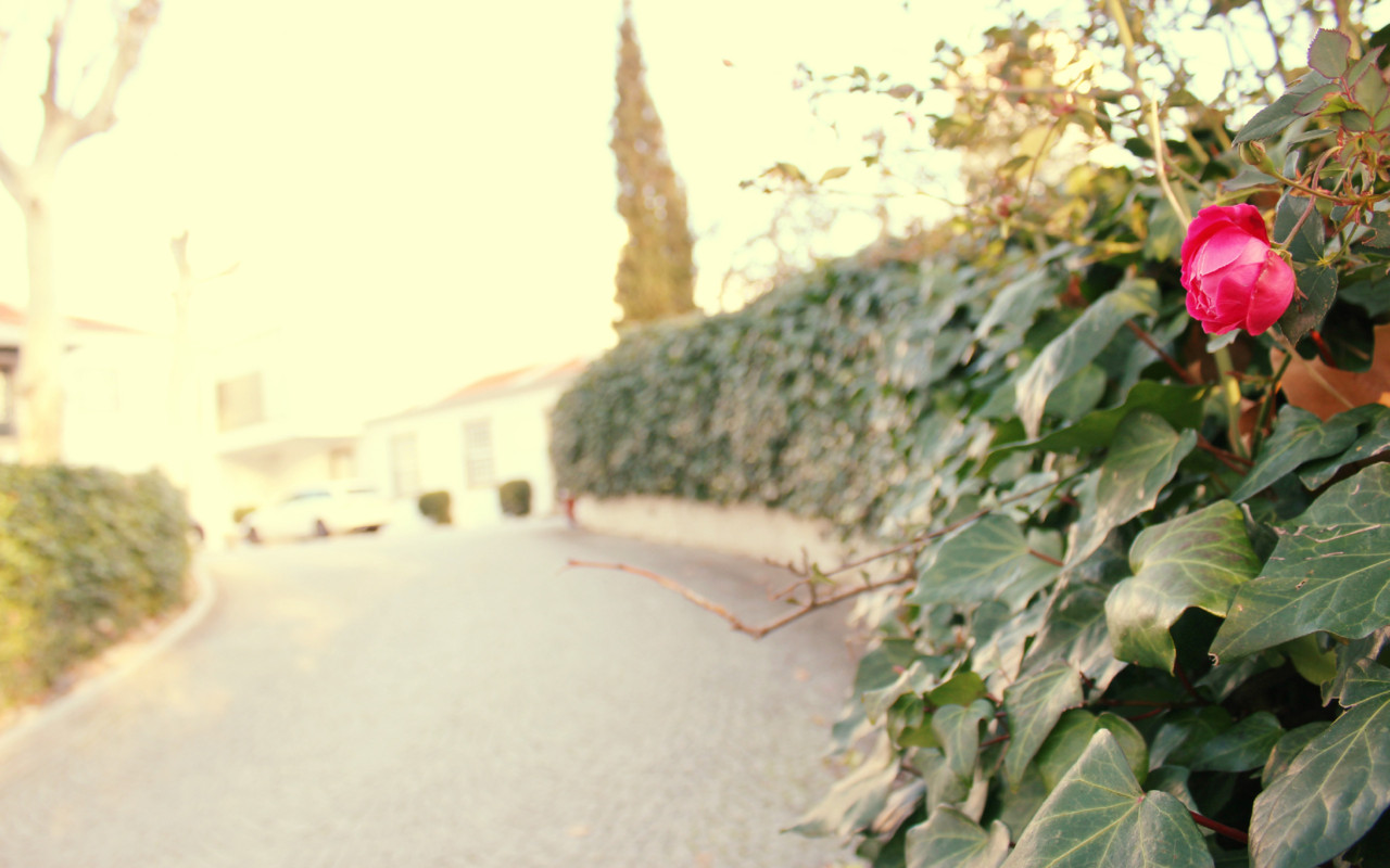 The Wine House Hotel - Quinta da Pacheca