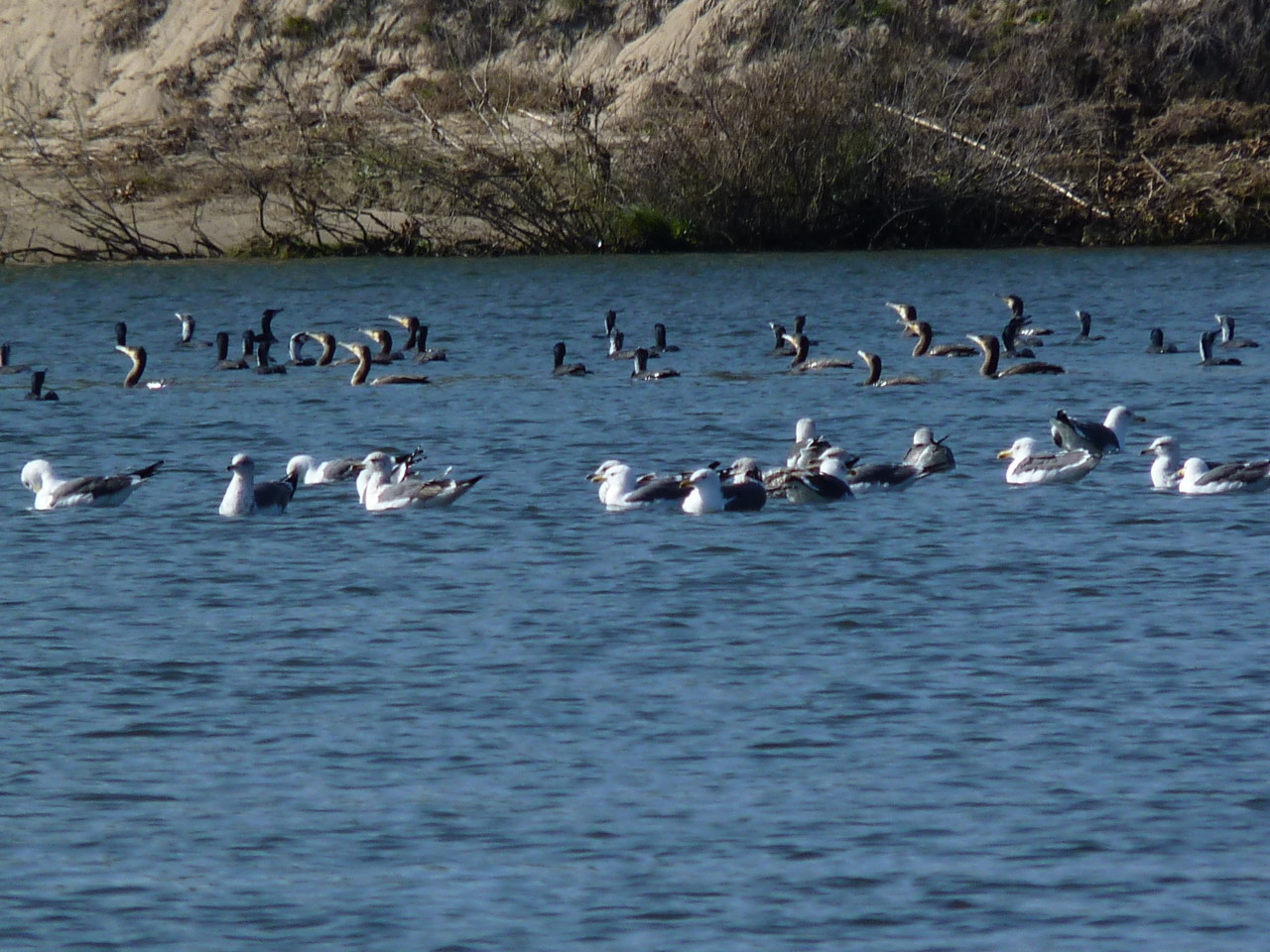 Passeio de barco (11).JPG