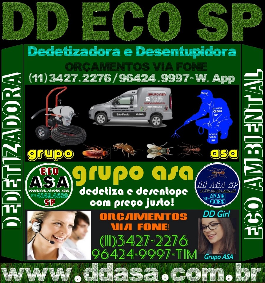 _1.0-DD ECO SP Dedetização What's App 11 96424-9 _1.0-DD ECO SP Dedetização What's App 11 96424-9