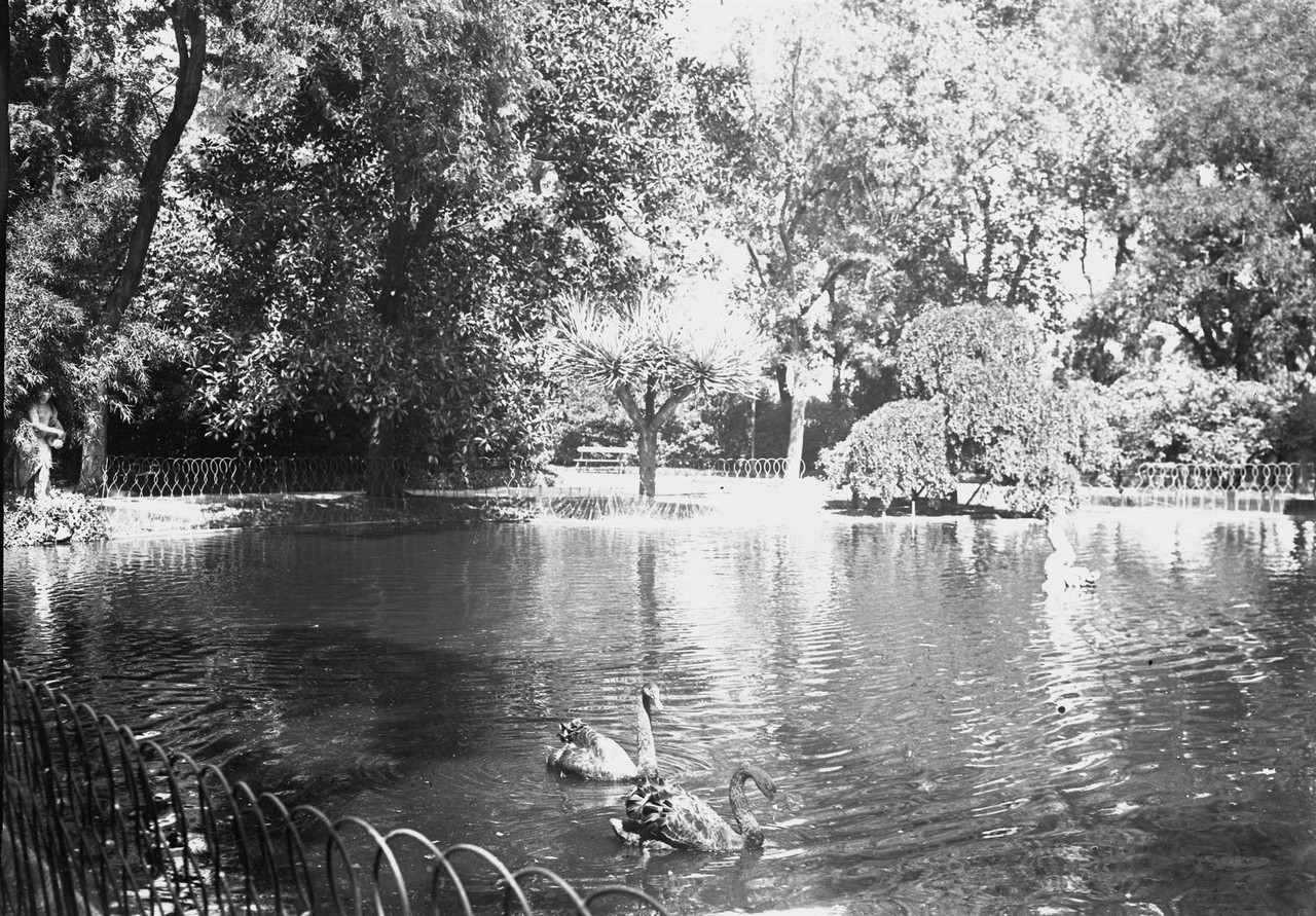 Jardim da Estrela, lago, 1911, foto de Joshua.jpg
