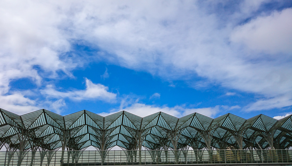 DSC_0203.jpg DSC_0203.jpg