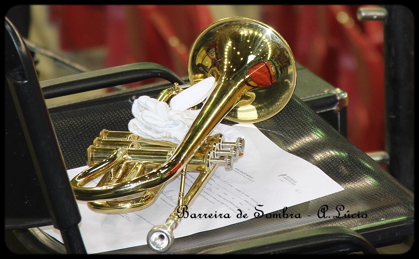 corneta.jpg