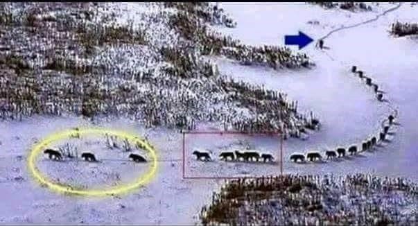 29594830_268866016987455_7691270270644050602_nhhkj