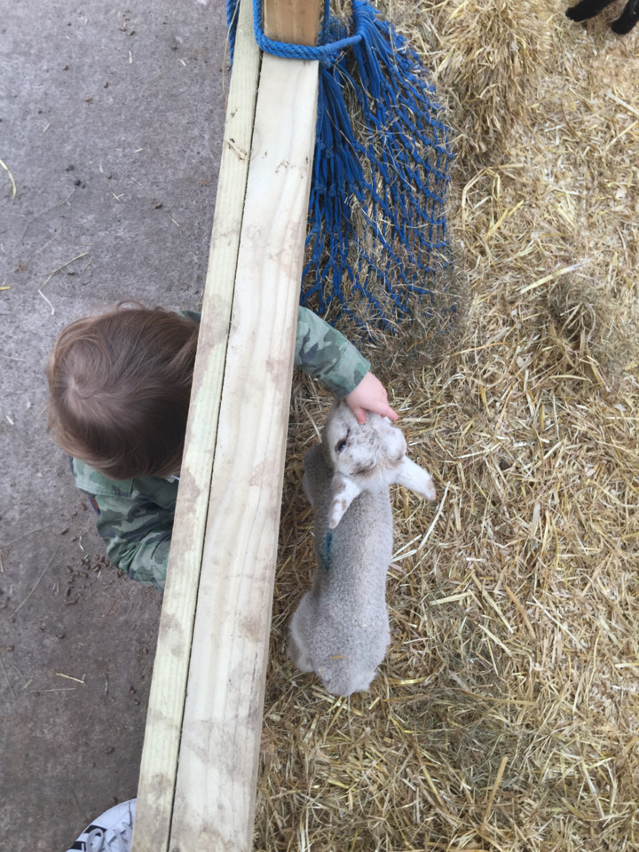 20170325_161654106_ios.jpg 20170325_161654106_ios.jpg