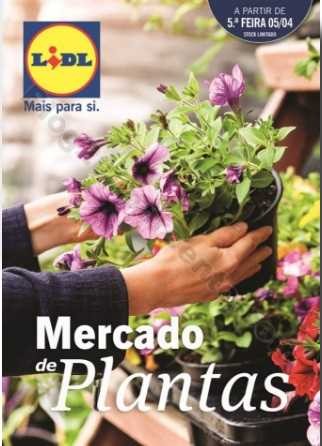 Promoções-Descontos-30382.jpg