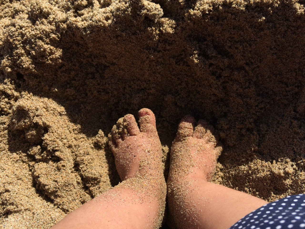 IMG_1853.JPG IMG_1853.JPG