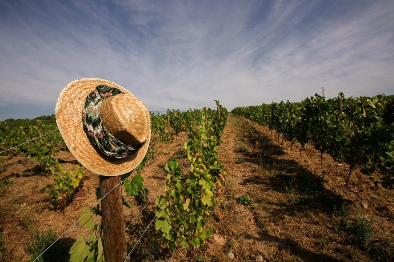 Lavradores de Feitoria