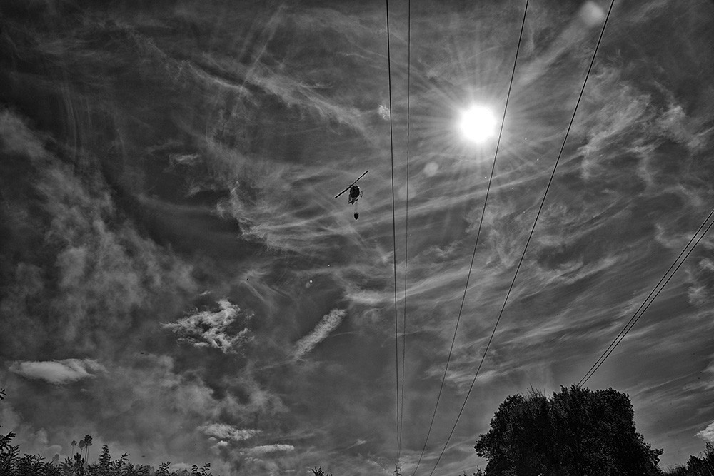 _JMF7103 - Cópia.jpg