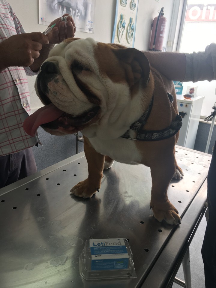 IMG_0738.JPG IMG_0738.JPG