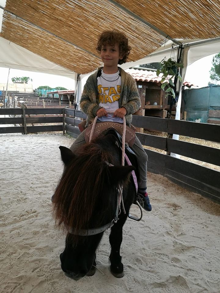 14658245_10155300025612786_1928833198_n.jpg 14658245_10155300025612786_1928833198_n.jpg