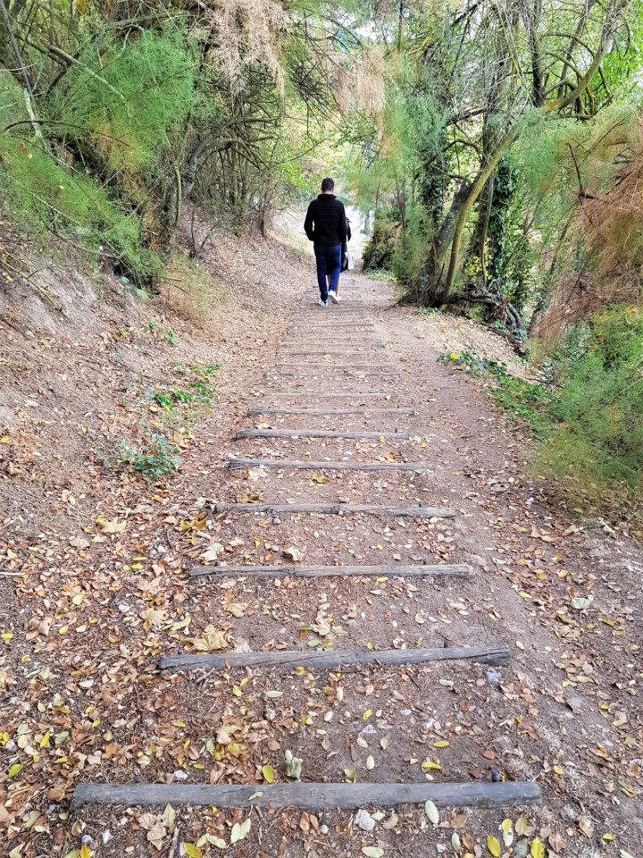 20171103_162500.jpg 20171103_162500.jpg