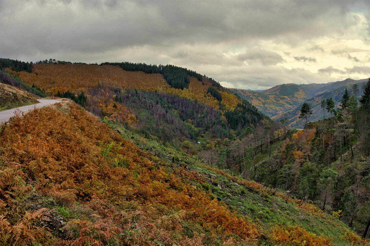 outono serra da estrela paisagem copiar.jpg
