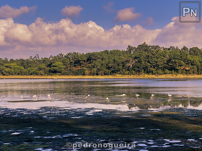 Set_2024_023 650px.jpg