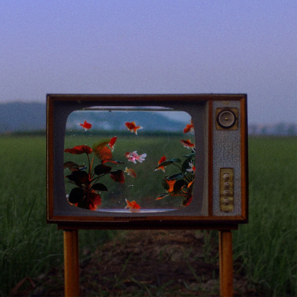 eu.clides.jpg eu.clides.jpg