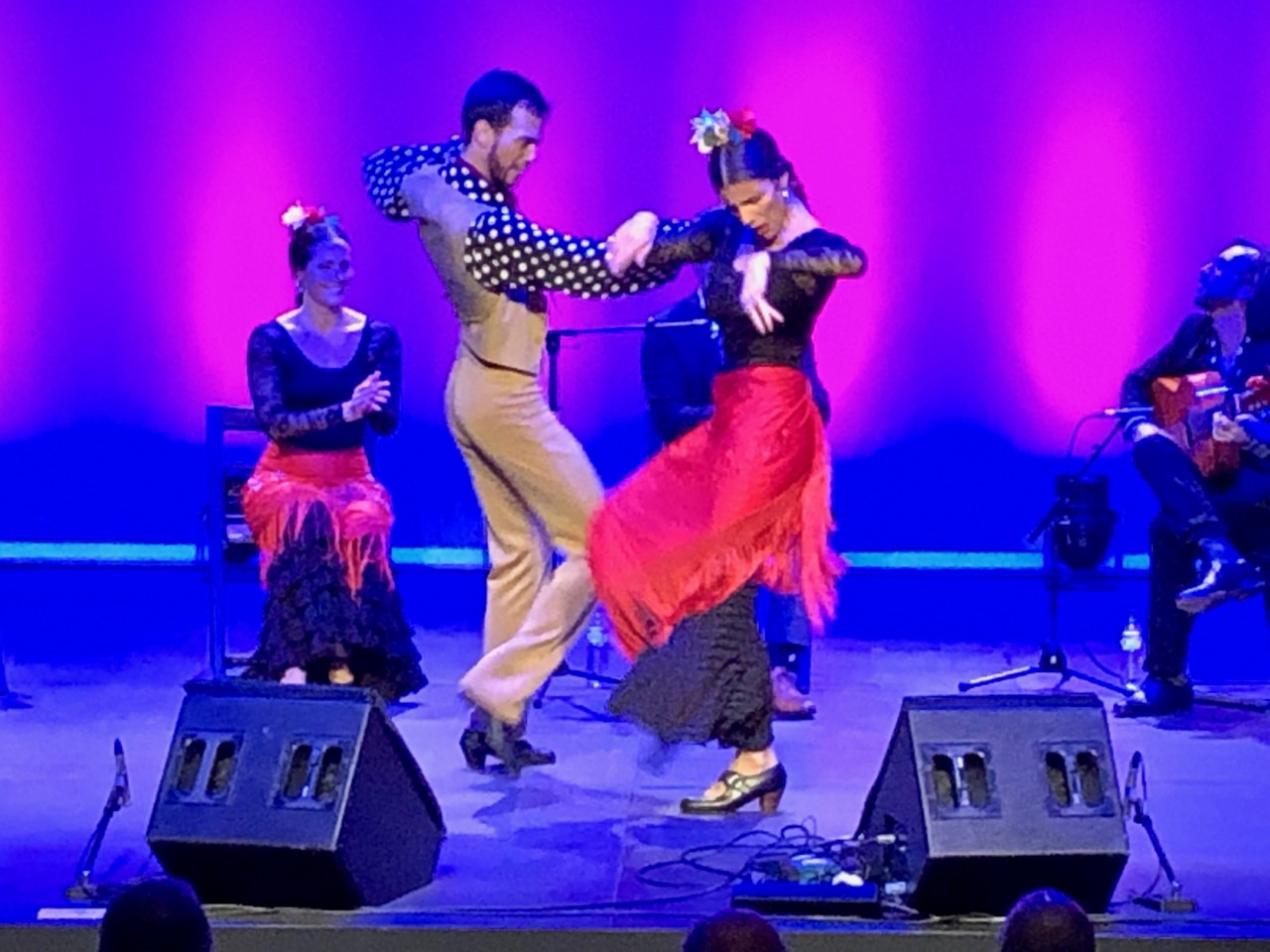 IMG_1221.jpeg IMG_1221.jpeg