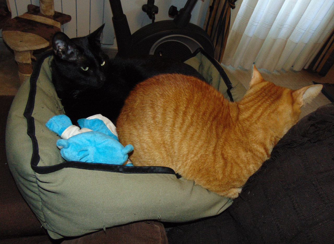 locais.JPG locais.JPG