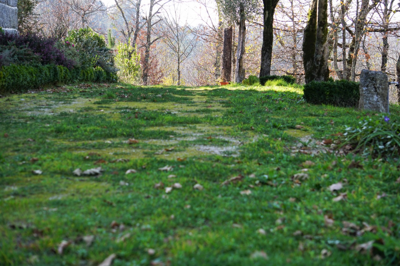 DSC02882.JPG DSC02882.JPG