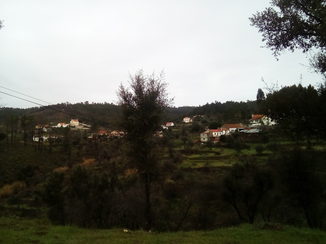 IMG_20190130_103226.jpg IMG_20190130_103226.jpg