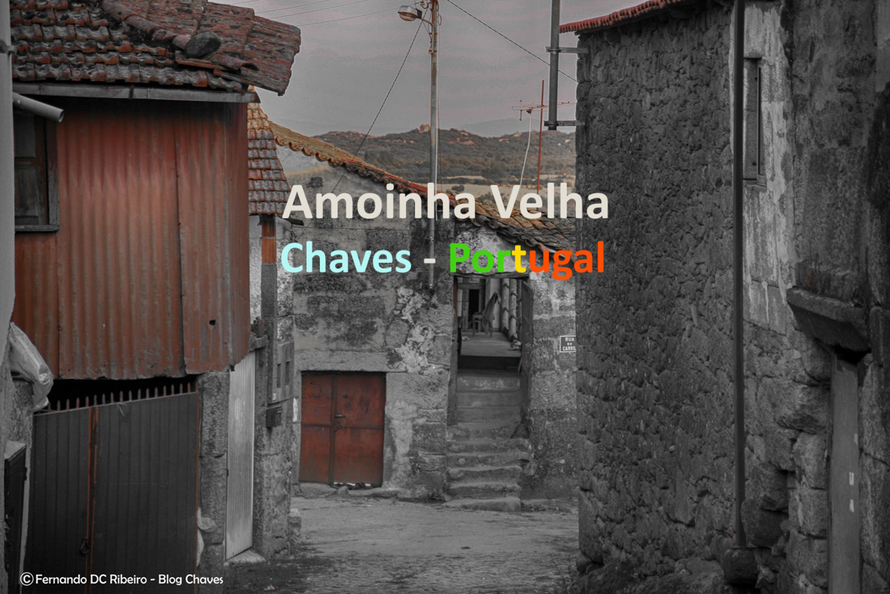 1600-amoinha (28)-vídeo.jpg