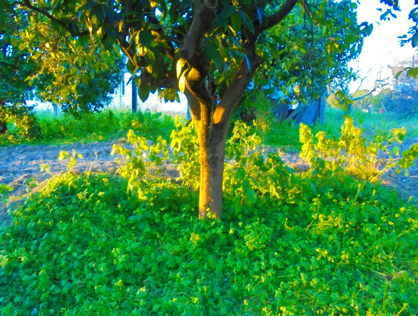 Sem Título105 (2).png