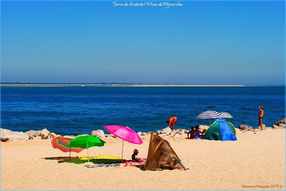 1937451_891871290851136_5523958034679901249_n.jpg 1937451_891871290851136_5523958034679901249_n.jpg