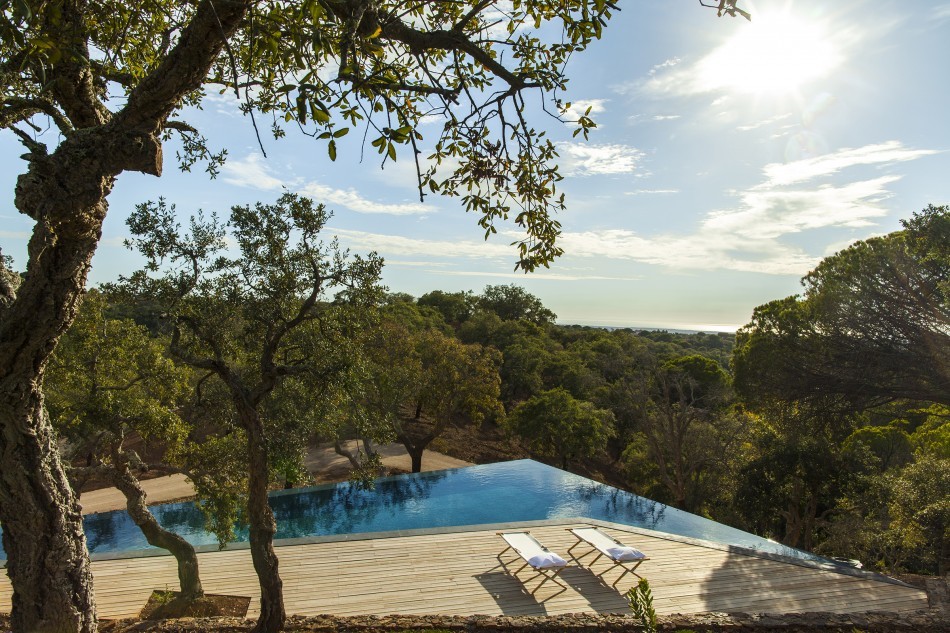 17-950x633.jpg 17-950x633.jpg