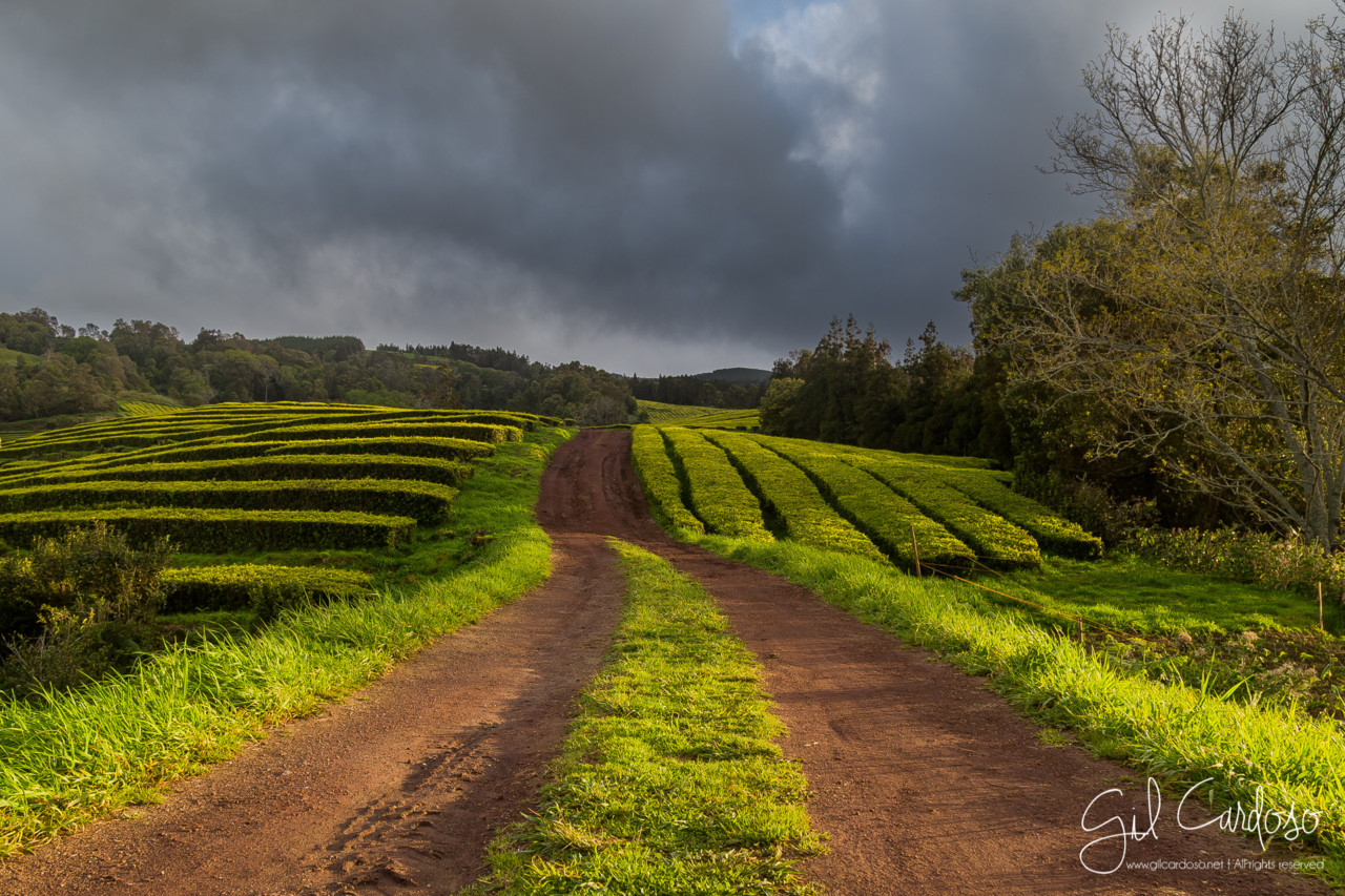 08_-_IMAGEM.jpg 08_-_IMAGEM.jpg