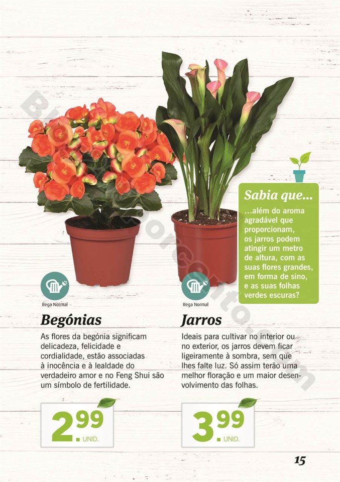 plantas_lidl_mercado_014.jpg